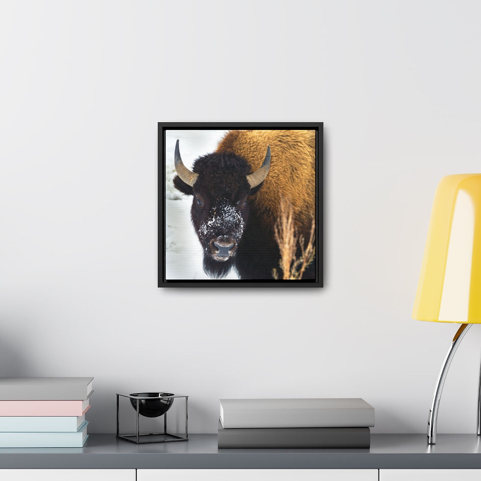 Thumbnail: Snow Bull