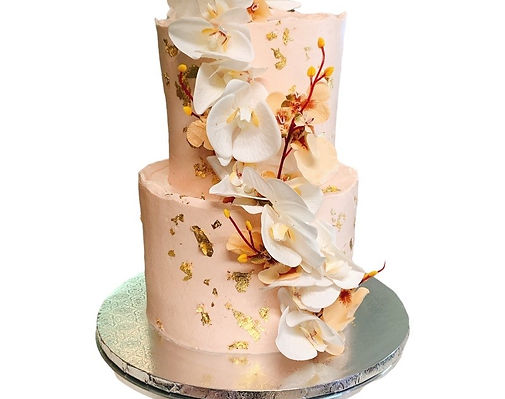 Rainforest Action Initiative