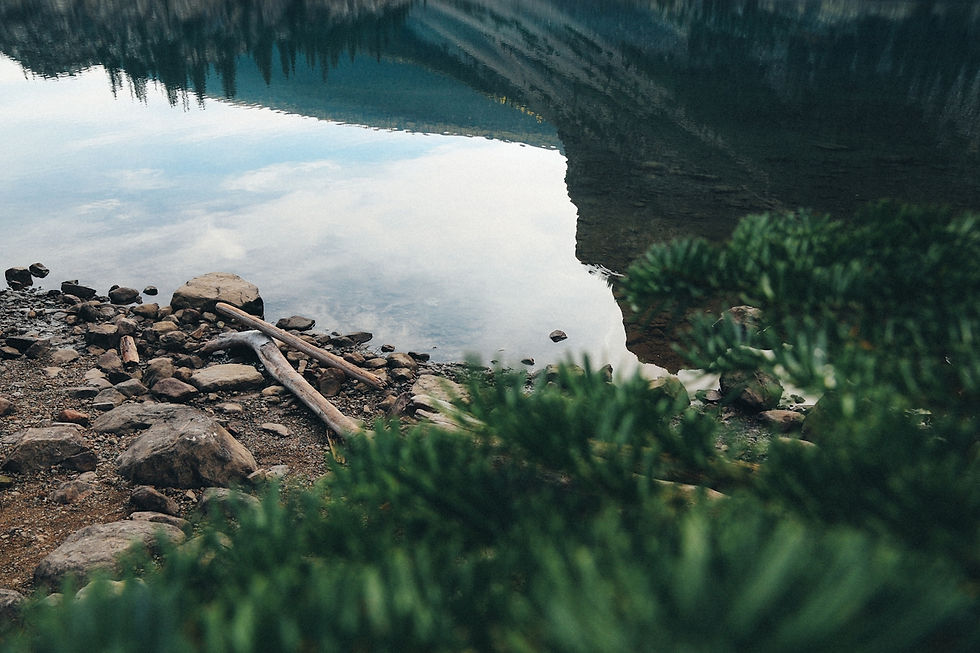 Naturen och vacker reflektion mot vattnet.