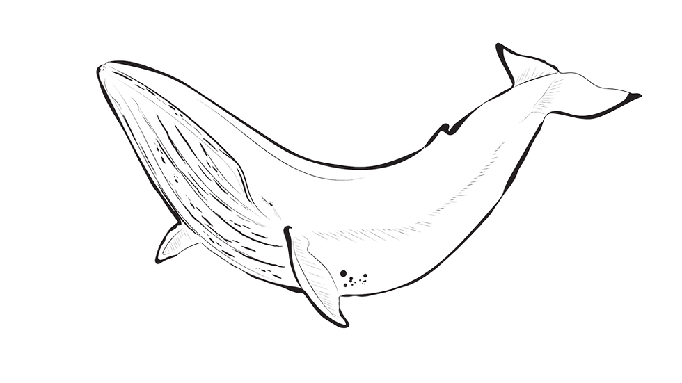 Branding Board Devilfish Cleaning_edited.png