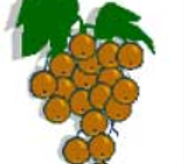 üzümsymbol.png