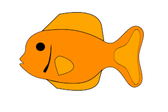 ruyada balik gormek ruyoka com