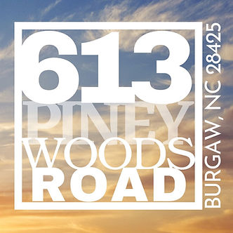 613PineyWoodsRd ADDRESS.jpg