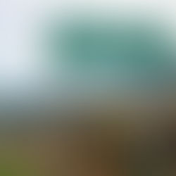 ¿DE DÓNDE PROVIENE NUESTRO CAFÉ?