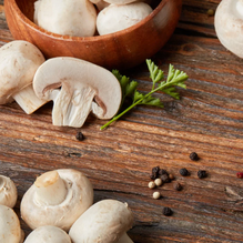 Fungal Superheroes; the Magic of Mushrooms 