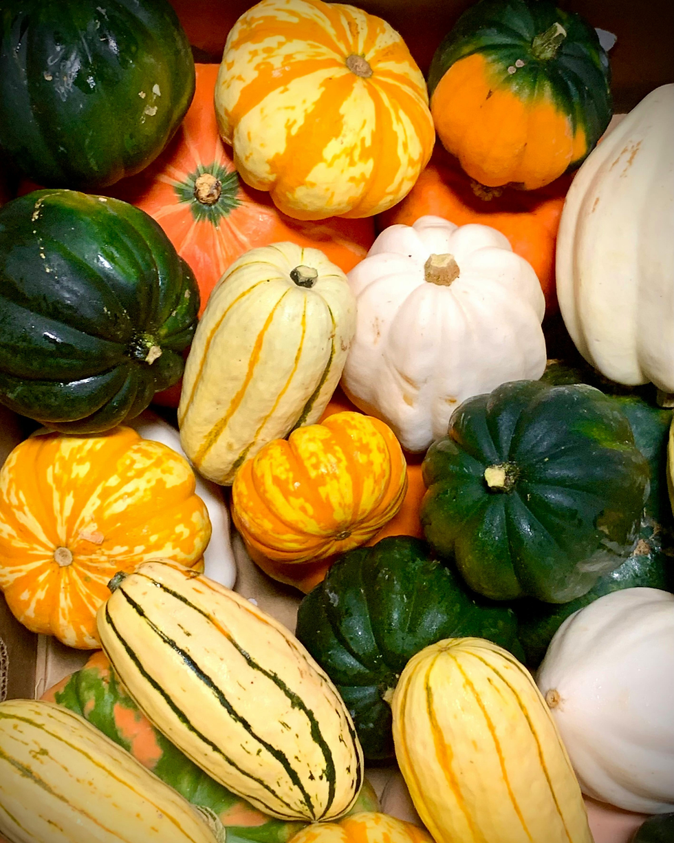 The Pumpkin Payoff