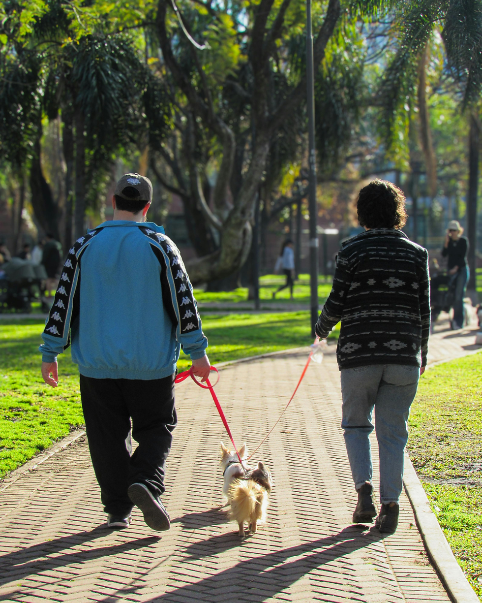 The Post-Meal Walk