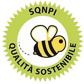 SQNPI.webp