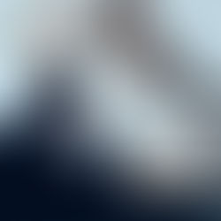 Request For Proposal: Survival Skills & Positive Masculinity