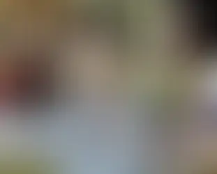 Nominations for Top 7 Over 70 Now Open