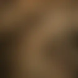 The History and Influence of Canada’s Coloured Hockey League (CHL)