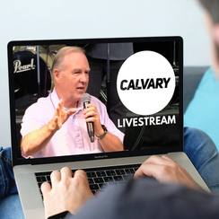 Live Stream