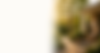 Who we work with banner image 2.png