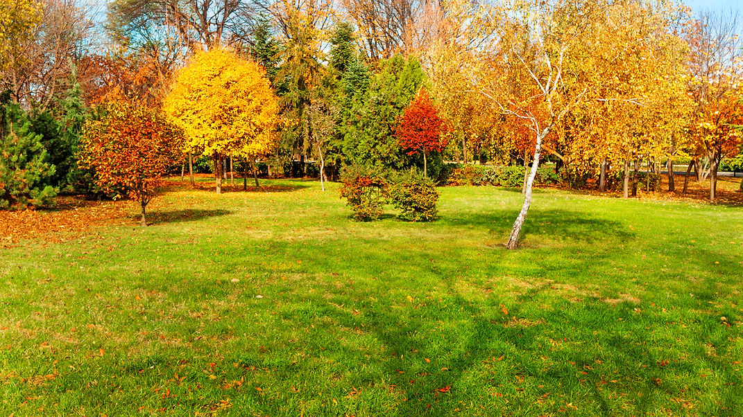 Jardin automnal