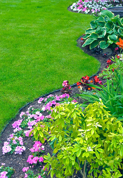 Pretty garden