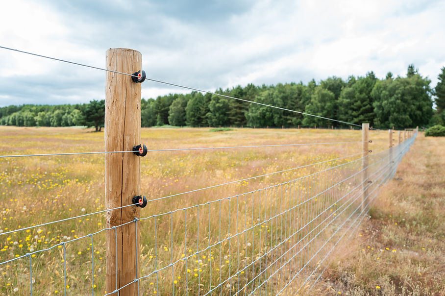 installed electric fence and wooden post