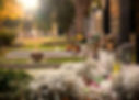 Flowers in a cemetary