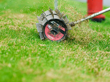 Nettoyage printanier