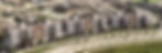 Trailside