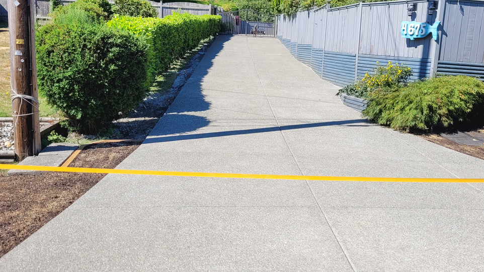 Concrete pathway bordered by bushes and fence. Blue sky, sunny day outside.