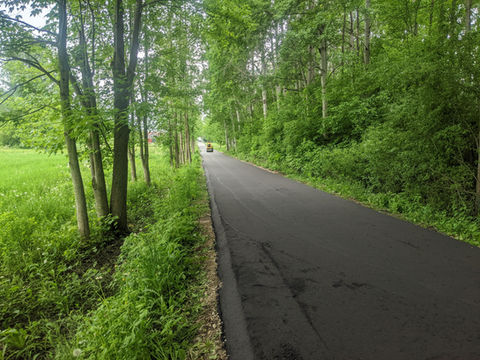 Paved road through lush green trees and foliage, leading onward Tri City Paving Inc