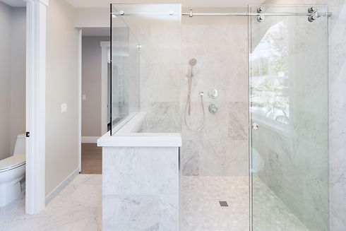 Glass Shower in modern home