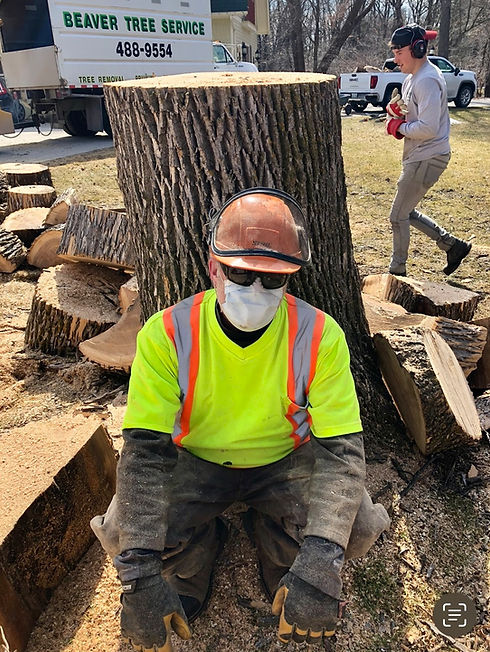 Beaver Tree Service photo 2