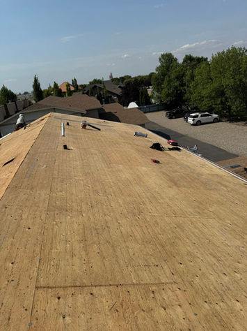 New plywood roof decking on a house under construction, sunny day.