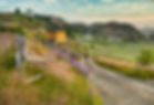 Morning Walk, Port Rexton, Newfoundland, Canada