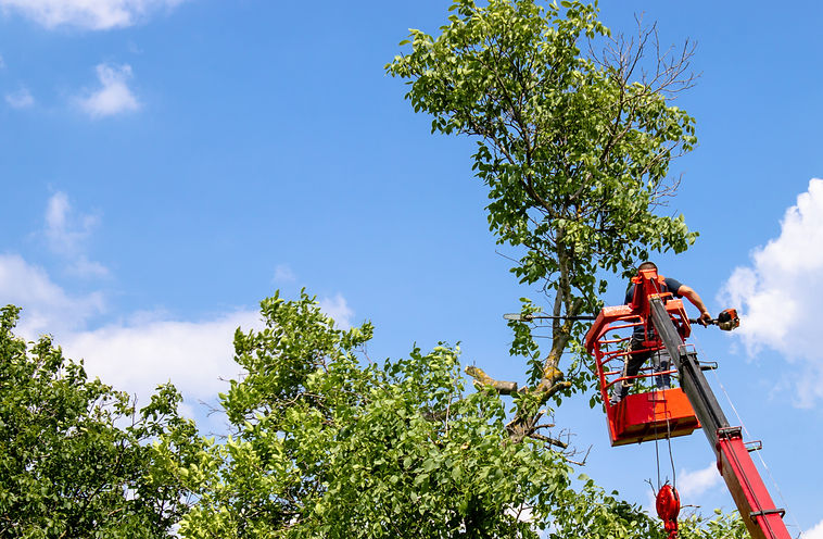 Service de grue