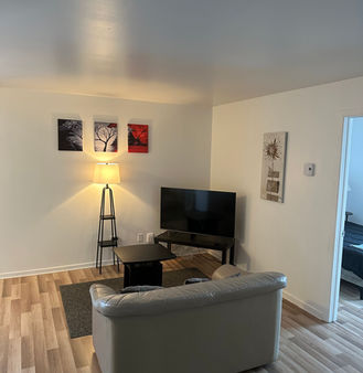 Salon d'un appartement meublé avec canapé, télé et lampe.