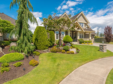 beautiful backyard