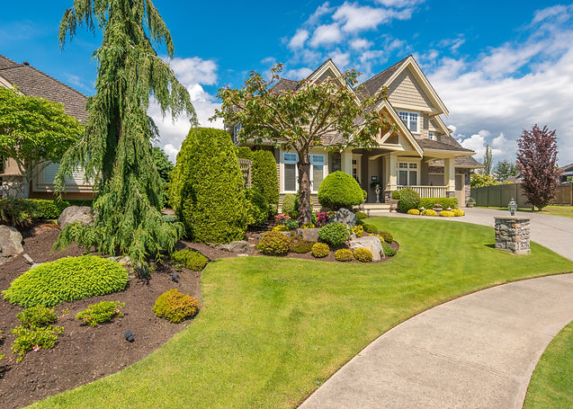 beautiful backyard
