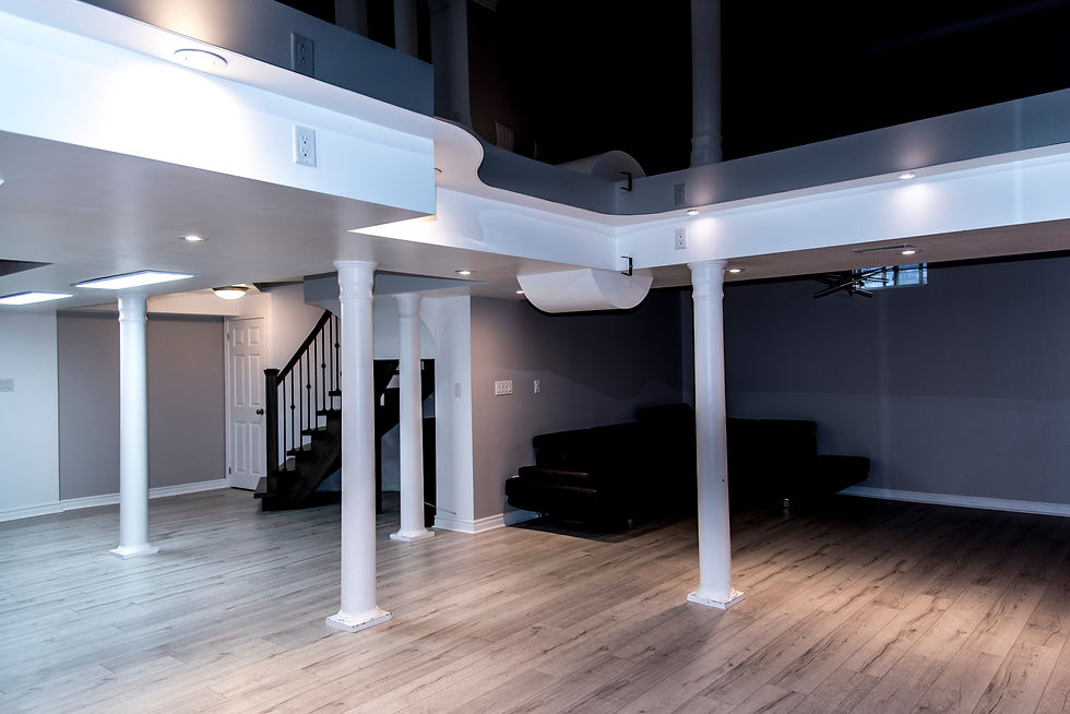 Modern basement