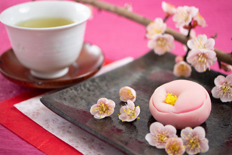 wagashi