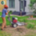 stump grinder