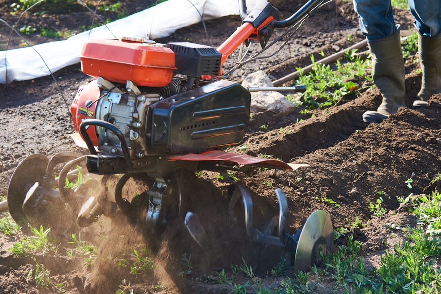 Chainsaw