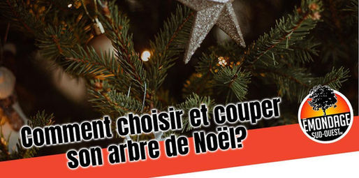 Comment choisir et couper son arbre de Noël?
