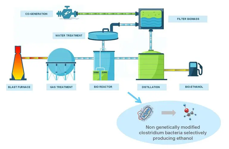 The Next Frontier in Carbon Capture is a Hungry Bacterium