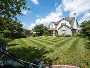 Why Local Conditions Matter in DFW Lawn Care