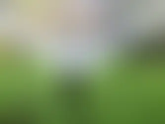 This comprehensive guide to lawn watering in DFW is written for beginners who want to do it themselves. Whether your yard is in a sunny Fort Worth suburb, a shaded Dallas neighborhood, or anywhere in between, these proven strategies will help you maintain a vibrant lawn while being responsible with water resources.