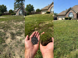This guide walks beginners through the process of overseeding and repairing bare areas tailored specifically for warm-season grasses common in Tarrant County, Dallas, Fort Worth, and surrounding North Texas neighborhoods.