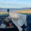 Thumbnail: Farmer's Socks