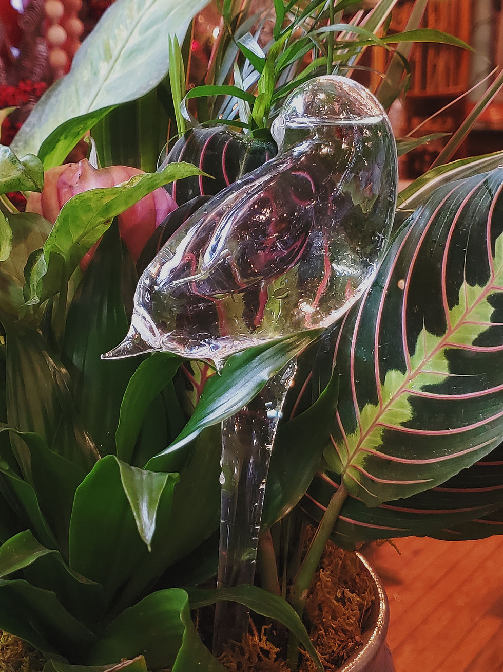 Thumbnail: Plant Watering Tubes