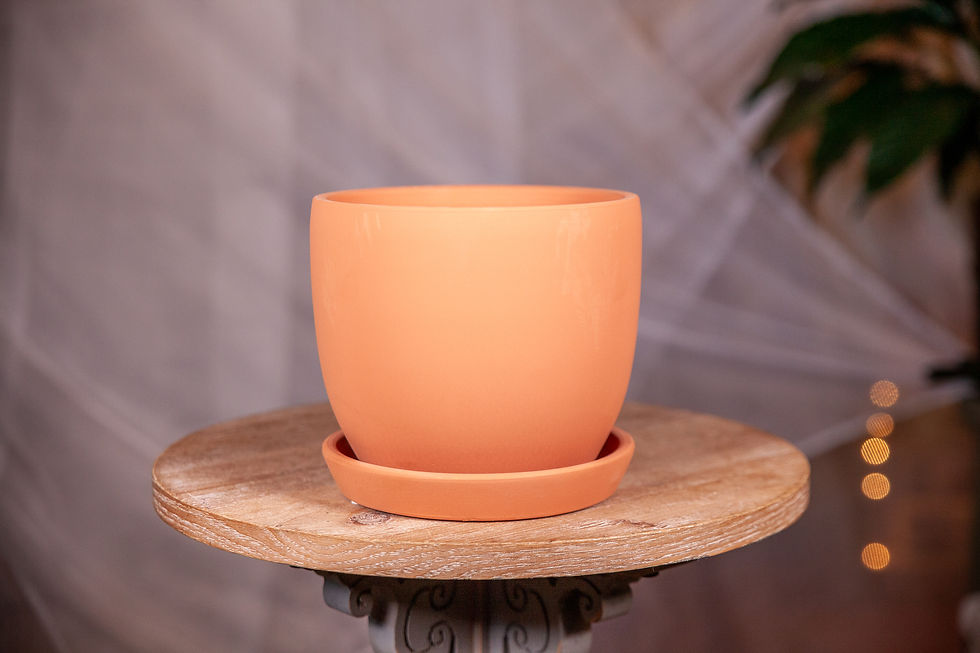 Thumbnail: 2-Piece Terracotta Pots
