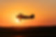 _sa92527.jpg