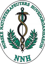 NNH logo