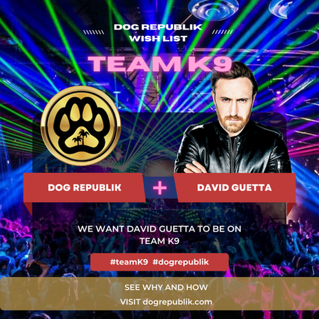 K9 - Guetta - Instagram post (1).png