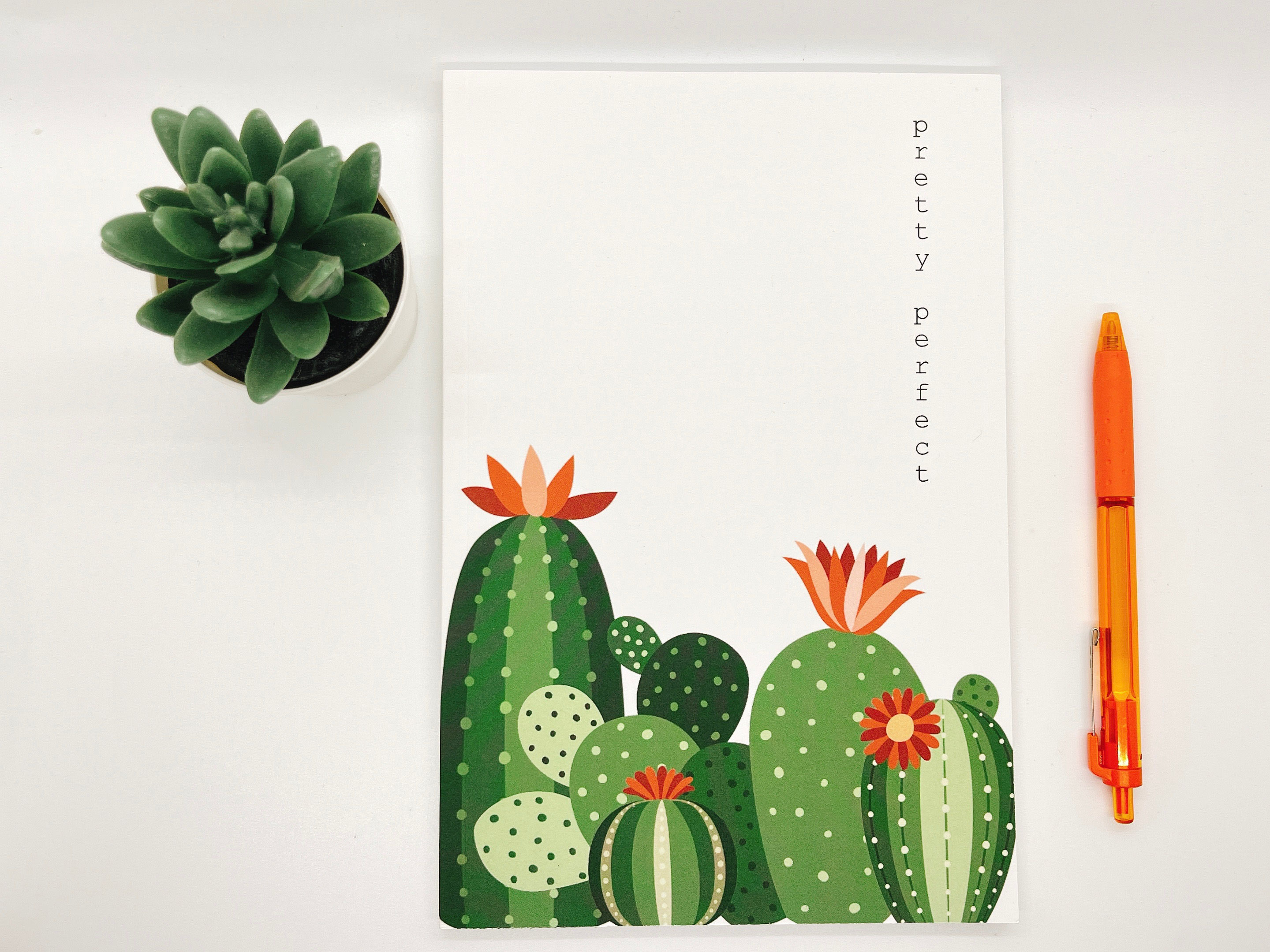 Pretty Perfect Cactus