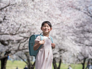 さくらとみずいろとピンクときもの